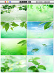 水滴绿色树叶环保草地草坪海报