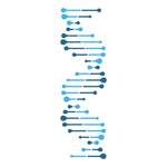 抽象DNA链符号矢量素材