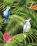 手绘热带植物花卉鹦鹉印花图案