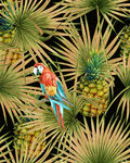 手绘热带植物菠萝鹦鹉服装印花图