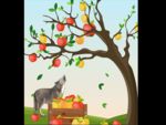 狼吃苹果