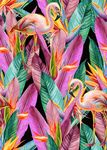 手绘热带植物火烈鸟服装印花素材