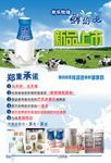 鲜牛奶 纯牛奶宣传单海报