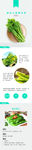 生鲜迟菜心蔬菜详情创意海报设计
