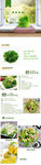 生鲜苦菊蔬菜详情创意海报设计