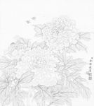 余稚花鳥圖冊白描底稿牡丹