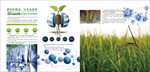 化肥产品 化肥种类