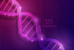 基因链紫色