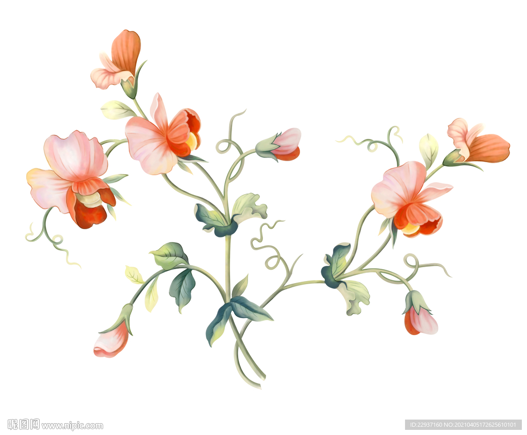 手上画图案花 22937160_172625610101_2.jpg