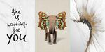 现代抽象大象水墨花纹装饰无框画