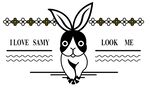 My兔兔
