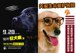 预防狂犬病    动物海报  