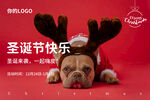 宠物圣诞节海报