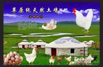 草原鸡肉广告