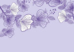 紫色和白色花纹