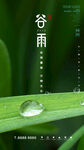 谷雨海报设计水滴篇