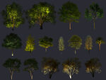 亮化树系列
