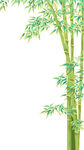 新國風竹子