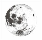 月亮 矢量 写实