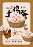 土雞蛋海報(bào)