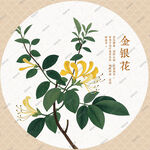 金銀花