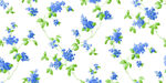 亂花