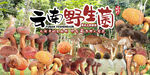 野生菌廣告 