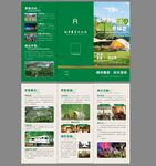  露營折頁 