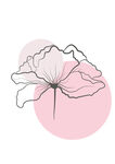 粉色背景簡(jiǎn)約線條矢量花朵圖