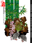 蝴蝶蘭矢量圖