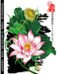 蓮花矢量圖