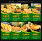 哈密瓜