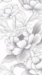 黑白花卉線描圖案
