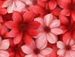 繁花似錦 紅色粉色花朵圖案
