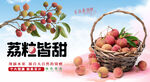 荔枝采摘