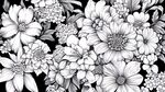 黑白花卉圖案