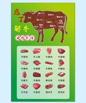 牛肉部位展示圖