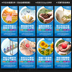 特殊教育 學校展板