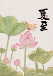 夏至荷花蜻蜓圖