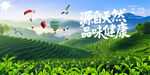 茶背景