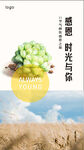 海報 朋友圈