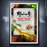 人參