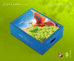 陽光玫瑰包裝 晴王禮盒