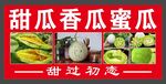 甜瓜香瓜蜜瓜新鮮上市
