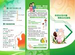 增補葉酸懷孕知識
