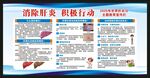 世界肝炎日宣傳欄