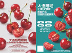 櫻桃