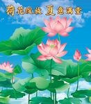 夏日綻放的美麗荷花