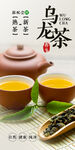 烏龍茶海報
