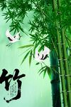 竹子插畫